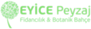 Eyice Peyzaj - Karaman Fidan Merkezi - Karaman Peyzaj - Karaman Botanik Bahçe